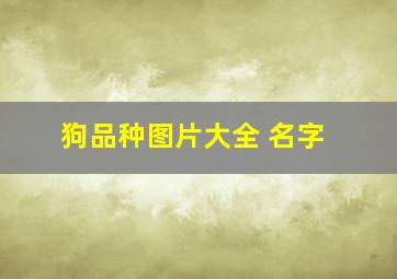 狗品种图片大全 名字